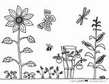 Coloring Garden Sheet Pages Vegetable Printable Flower Colouring Sheets Made Joel Kids Print Printables Gardening Color Vegetables Drawing Flowers Para sketch template