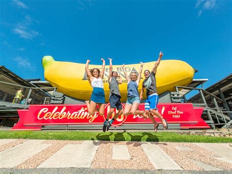 The Big Banana Sydney Australia Official Travel And Accommodation