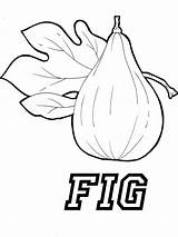Fig Coloring Pages Figs Getcolorings Printable sketch template