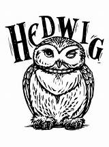 Hedwig Coloring Hogwarts Ginny Eule Hedwige Ausdrucken Malvorlage Maatjes Gufo Silhueta Silhouette Klassenzimmer Cory Crests Idee Gryffindor Colorare Lechuza Facil sketch template