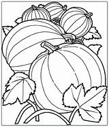 Coloring Pumpkins Five Little Getcolorings Pages sketch template