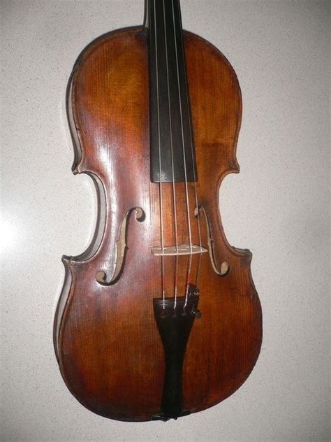 labelled padewet viool duitsland  catawiki