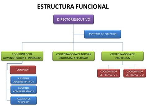 la estructura la estructura organizacional