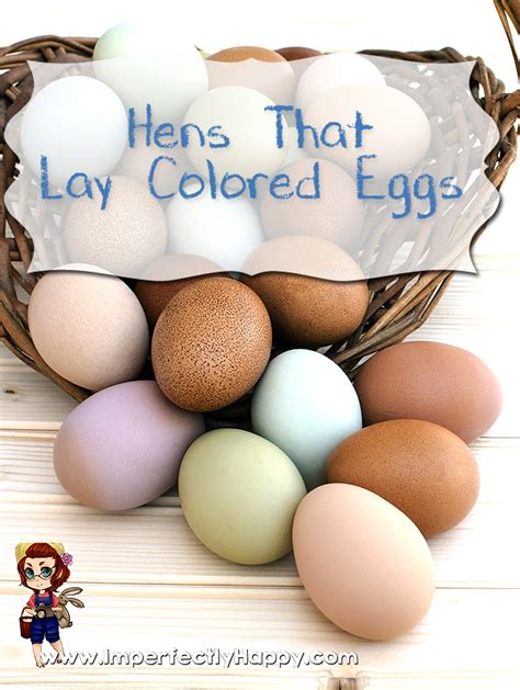 Hens That Lay Colored Eggs