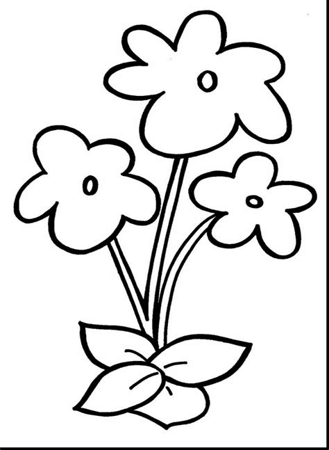 flower coloring pages  getdrawings
