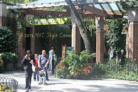 visit   central park zoo nyc style   cannoli