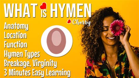 What Is Hymen Hymen Structure Anatomy Function Types Of Hymen Hymen