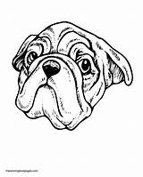 Coloring Dog Pages Faces Realistic Pug Face Colouring Drawing Pugs Dogs Book Library Popular Clipart Coloringhome Getdrawings Codes Insertion sketch template