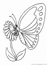 Butterfly Coloring Pages Color Printable Butterflies Insects Online Bees Drawings sketch template