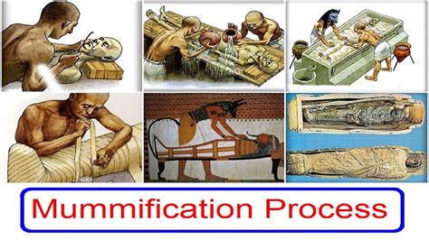 mummification process  ancient egypt youtube