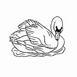 Orque Swan sketch template
