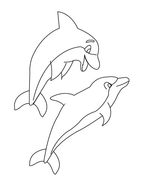 coloring pages dolphins