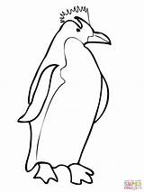 Penguin Coloring Pages Penguins Macaroni Printable Color King Outline Pittsburgh Clipart Drawing Chinstrap Getcolorings Getdrawings Clipartbest Super Print Colorings sketch template