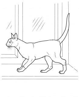 cat color pages printable siamese cat coloring page super coloring