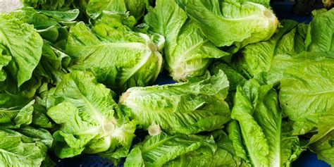 there s a romaine lettuce recall in 20 states due to possible e coli