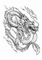 Dragon Coloring Pages Adultes Dessin Dragons Chinois Un Chinese Coloriages Pour Fire sketch template