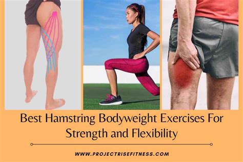hamstring bodyweight exercises  strength  flexibility