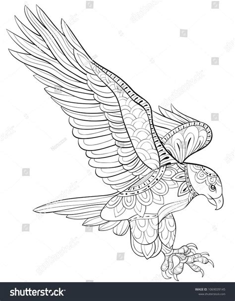 pin  coloring birds  prey