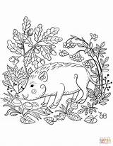 Coloring Forest Pages Wild Boar Printable Animal Animals Adult Color Supercoloring Sheets Energy Getdrawings Nature Colorings Print Getcolorings Woodland Fire sketch template