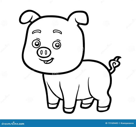coloring book  children  pig stock vector illustration