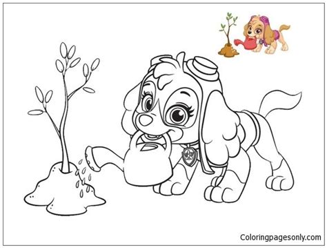 skye  paw patrol coloring page  coloring pages