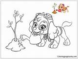 Patrol Paw Skye Pages Coloring Color Printable Kids Online Dog Para Colorir Book Coloringpagesonly Patrulha Canina Cartoons Desenhos Books Animal sketch template