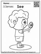 Senses Preschool sketch template