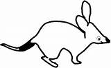 Bilby Coloring Pages Clip Australia Animal sketch template