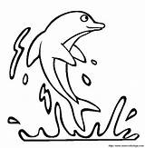 Delfin Colorat Lumba Delfino Desene Piccoli Saltando Mewarnai Colorare Kolase Disegno Saltan Dacolorare Delfini Animale Salbatice Golfinho Kolorowanka Planse Delfines sketch template
