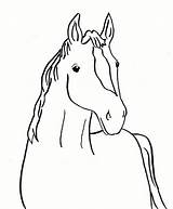 Horse Coloring Printable Samanthasbell sketch template