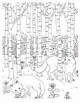 Coloring Habitat Pages Forest Animal Sheets Getdrawings Getcolorings sketch template