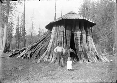 stump houses     outdoor revival