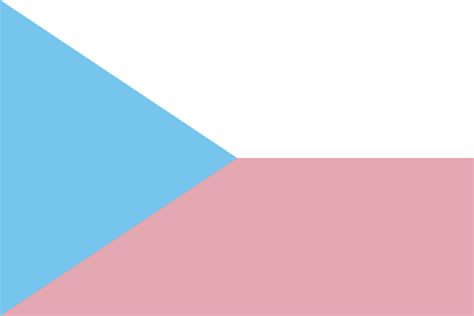 a flag for omnisexuals who use bisexual as an umbrella term r