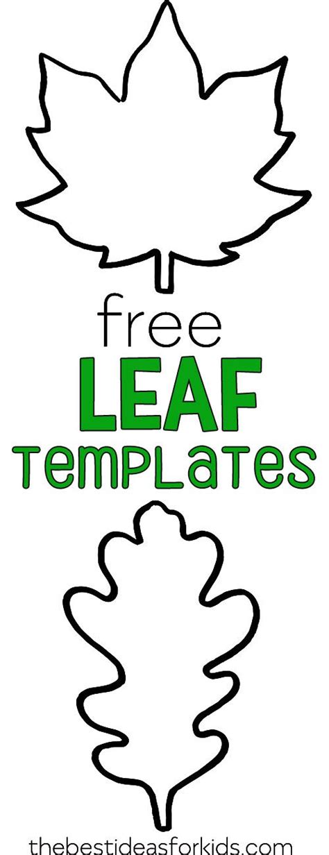 leaf template  printables   ideas  kids fall leaf