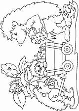 Egels Colorat Hedgehogs Igel Ausmalbilder Coloriage Colorare Egel Arici Ricci Herisson Animale Riccio Herbst Malvorlagen Planse Igeln Ausmalbild P01 Fraise sketch template