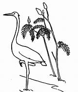 Coloring Crane Bird Pages Plant Water Netart Choose Board sketch template