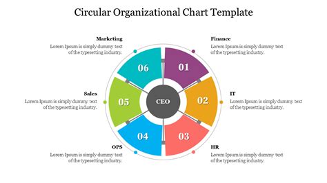 Best Circular Organizational Chart Template Download Now