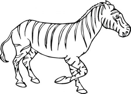 zebra coloring pages clipart panda  clipart images coloring home