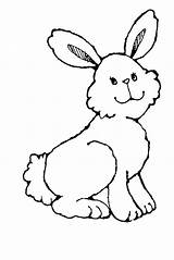 Rabbit Clipart Bunny Clip Easter Cliparts Baby Rabbits Library Non Thanksgiving Standing Clipartfest Funeral Program Wikiclipart Copyrighted Line Hdclipartall Domestic sketch template