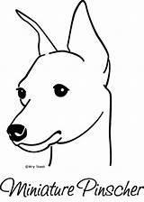 Pinscher Zwergpinscher Pincher Flügel Doberman Zeichnen Friesenpferde Hundeartikel Outline sketch template