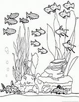 Ocean sketch template