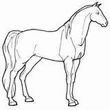 Horse Coloring Pages Mare Farm Foal Animal Big Horses Lovely Walking Designlooter Drawings Getcolorings Color Getdrawings Hellokids Two sketch template