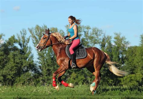 horseback riding  fun     good workout  horse racing sense
