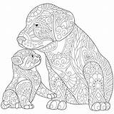 Coloring Pages Dog Puppy Lab Adults Printable Cats Chocolate Cat Labrador Mandala Adult Kitten Pet Animal Kids Retriever Mandalas Easy sketch template