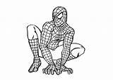 Spiderman sketch template
