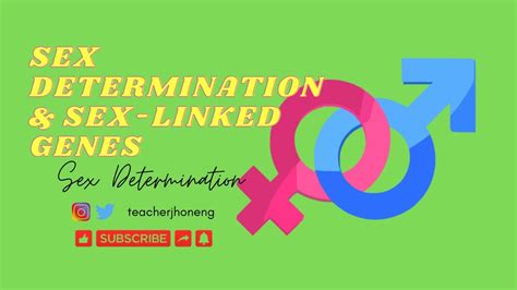 sex determination youtube