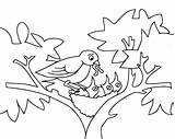 Coloring Baby Pages Birds Bird Nest Kids Mommy Outline Printable Feeding Drawing Tree Lives Cartoon Funny Sheet Fun Colouring Animals sketch template