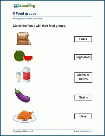 food groups worksheets  learning