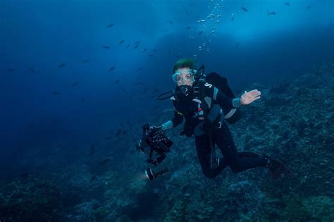 Marine Biologist Reflects On A Lifetime Of Ocean Advocacy Wusf Public
