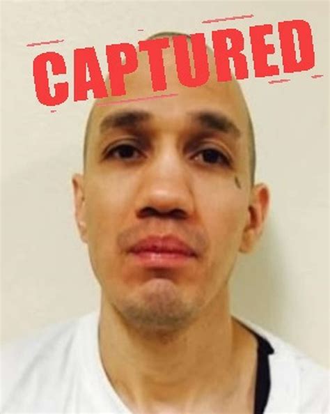 top 10 most wanted gang member arrested in houston